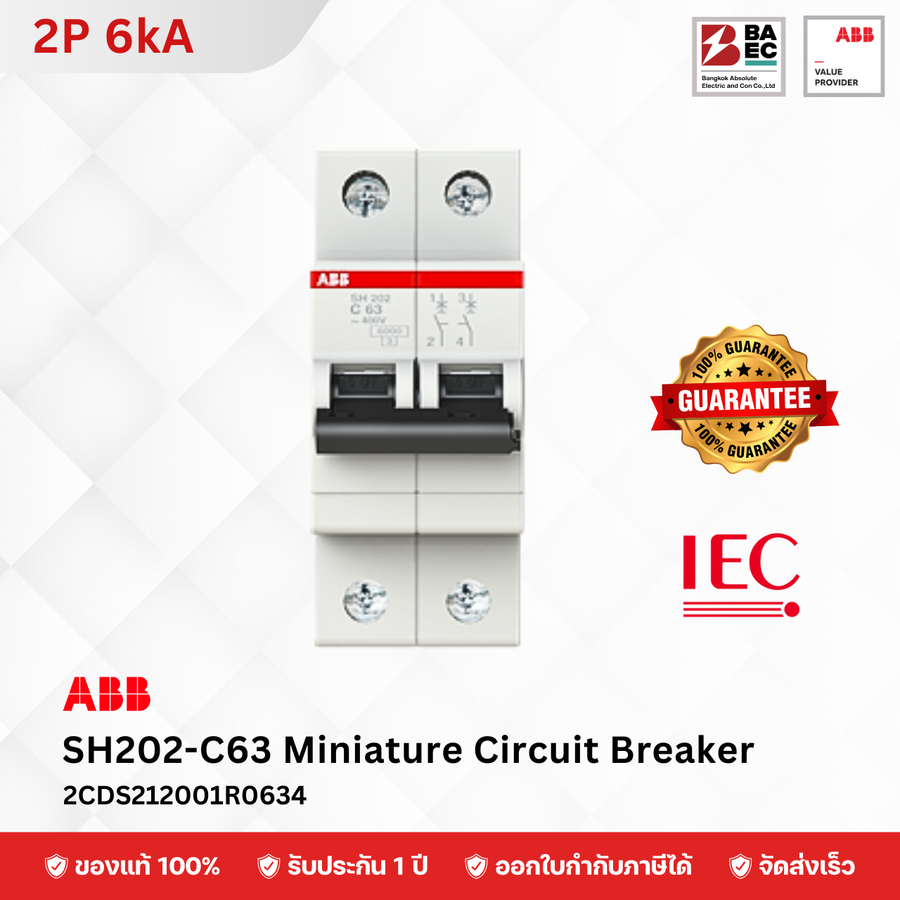 ABB เซอร์กิตเบรกเกอร์ SH202-C6 - C63A 2P 6KA
