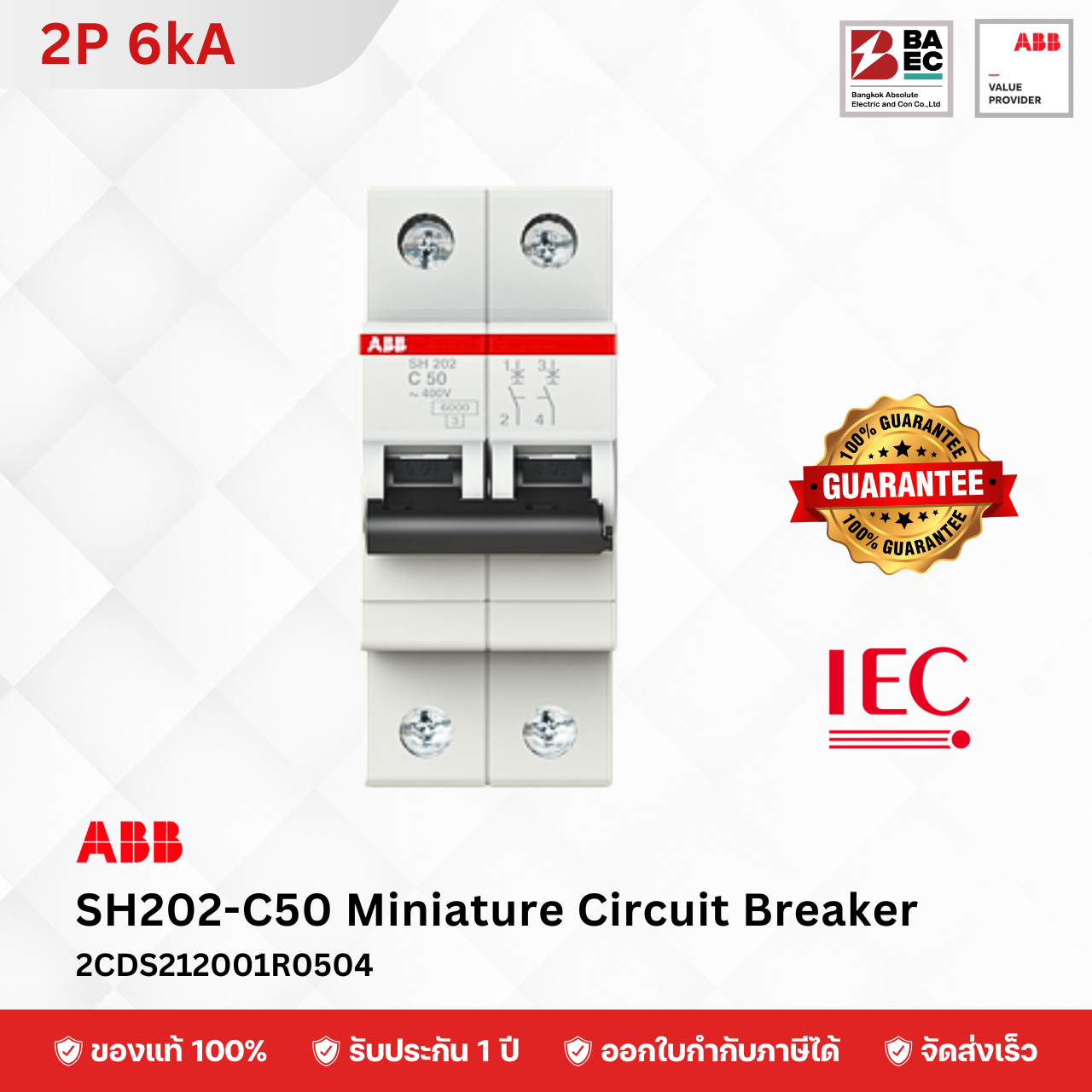 ABB เซอร์กิตเบรกเกอร์ SH202-C6 - C63A 2P 6KA