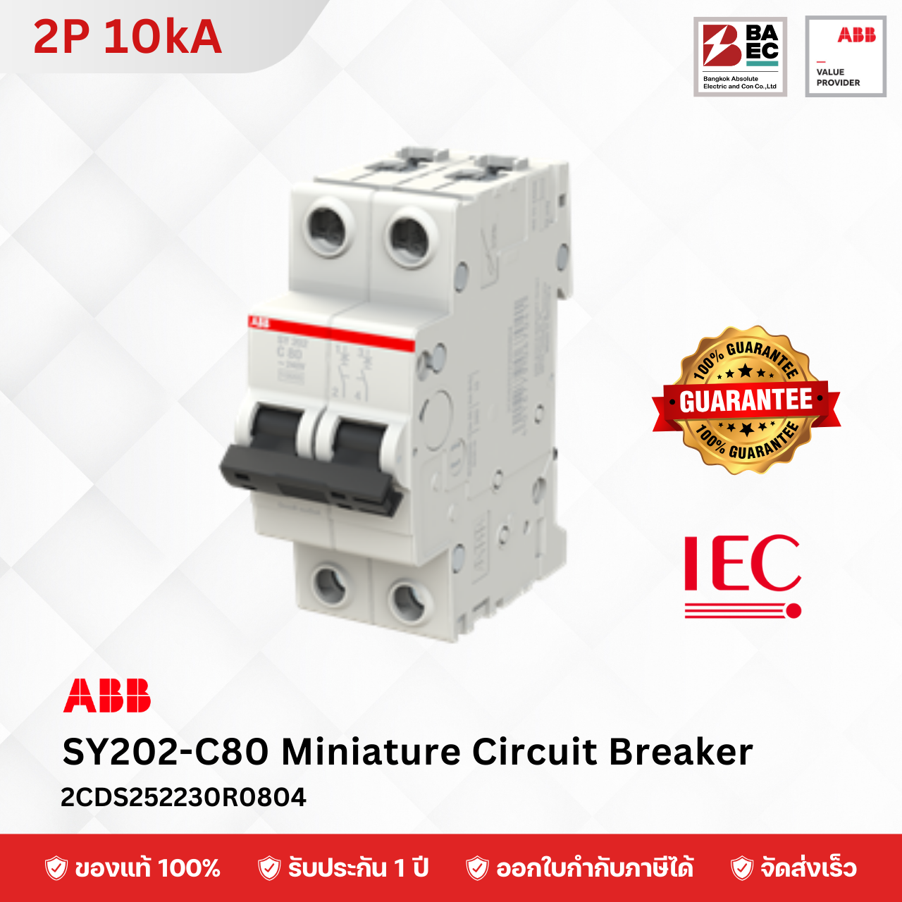 ABB Miniature Circuit Breaker SY202 80A - 100A 2P 10KA