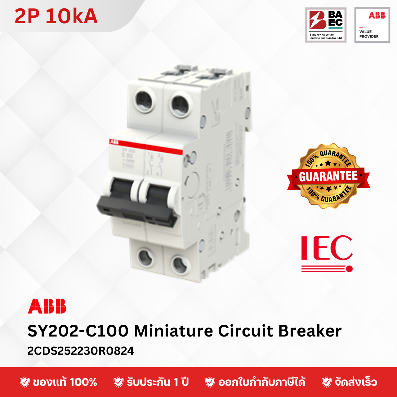 ABB Miniature Circuit Breaker SY202 80A - 100A 2P 10KA