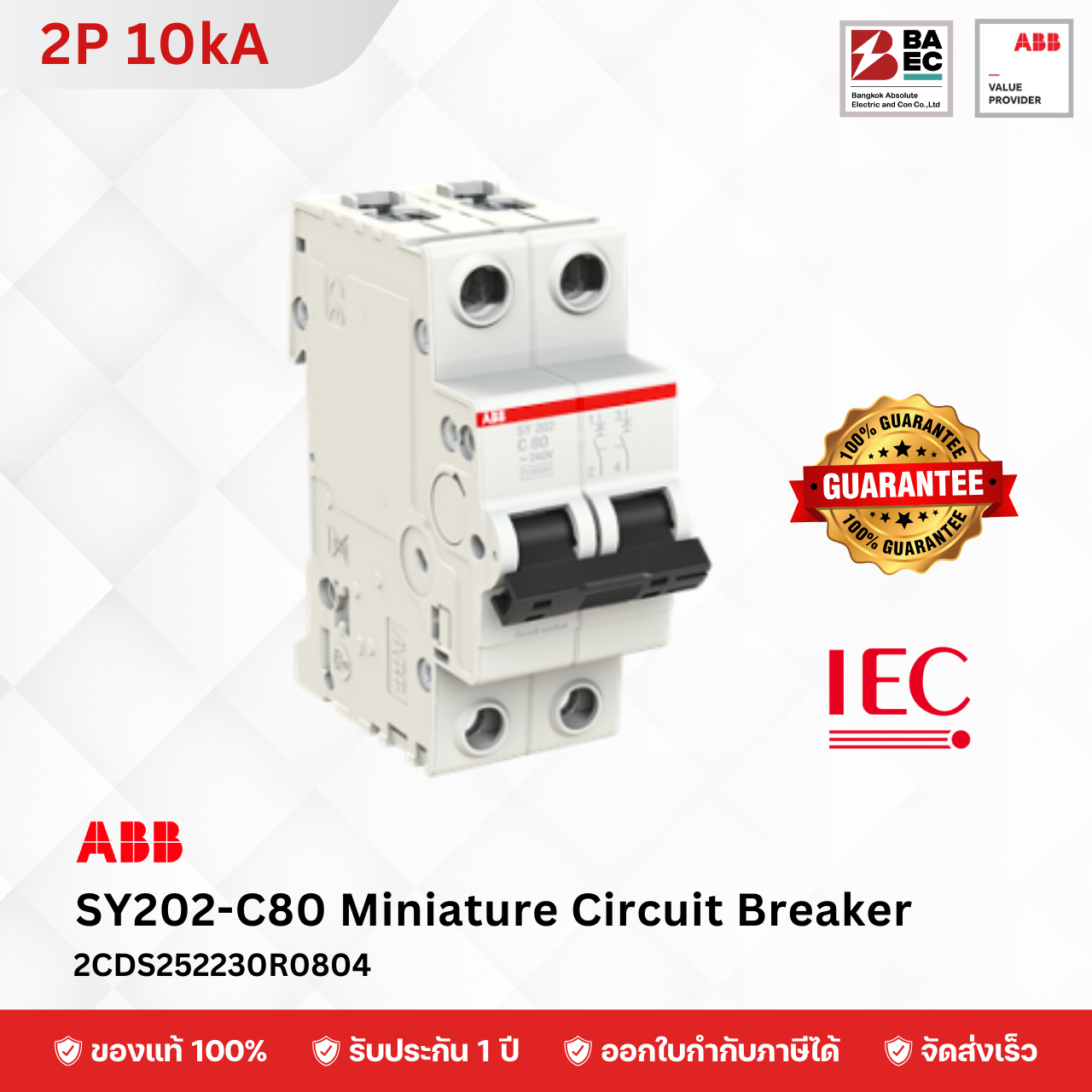 ABB Miniature Circuit Breaker SY202 80A - 100A 2P 10KA