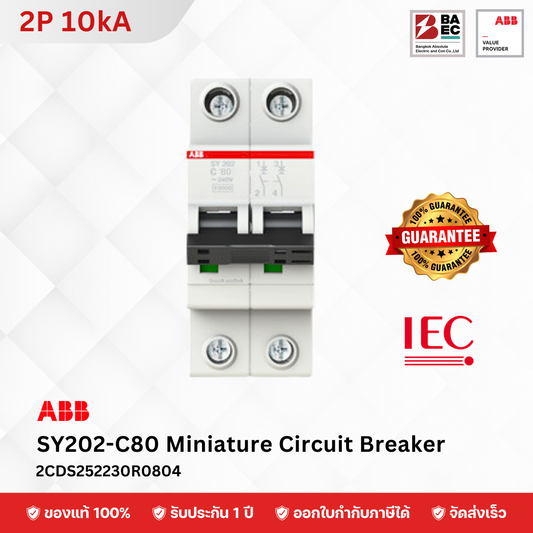 ABB Miniature Circuit Breaker SY202 80A - 100A 2P 10KA