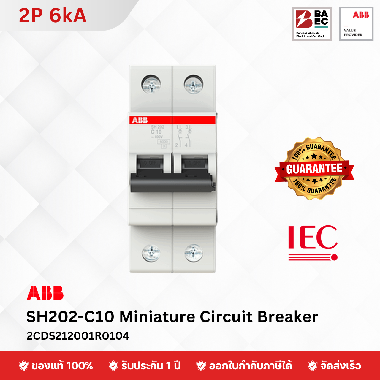ABB เซอร์กิตเบรกเกอร์ SH202-C6 - C63A 2P 6KA