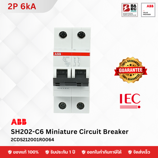ABB เซอร์กิตเบรกเกอร์ SH202-C6 - C63A 2P 6KA