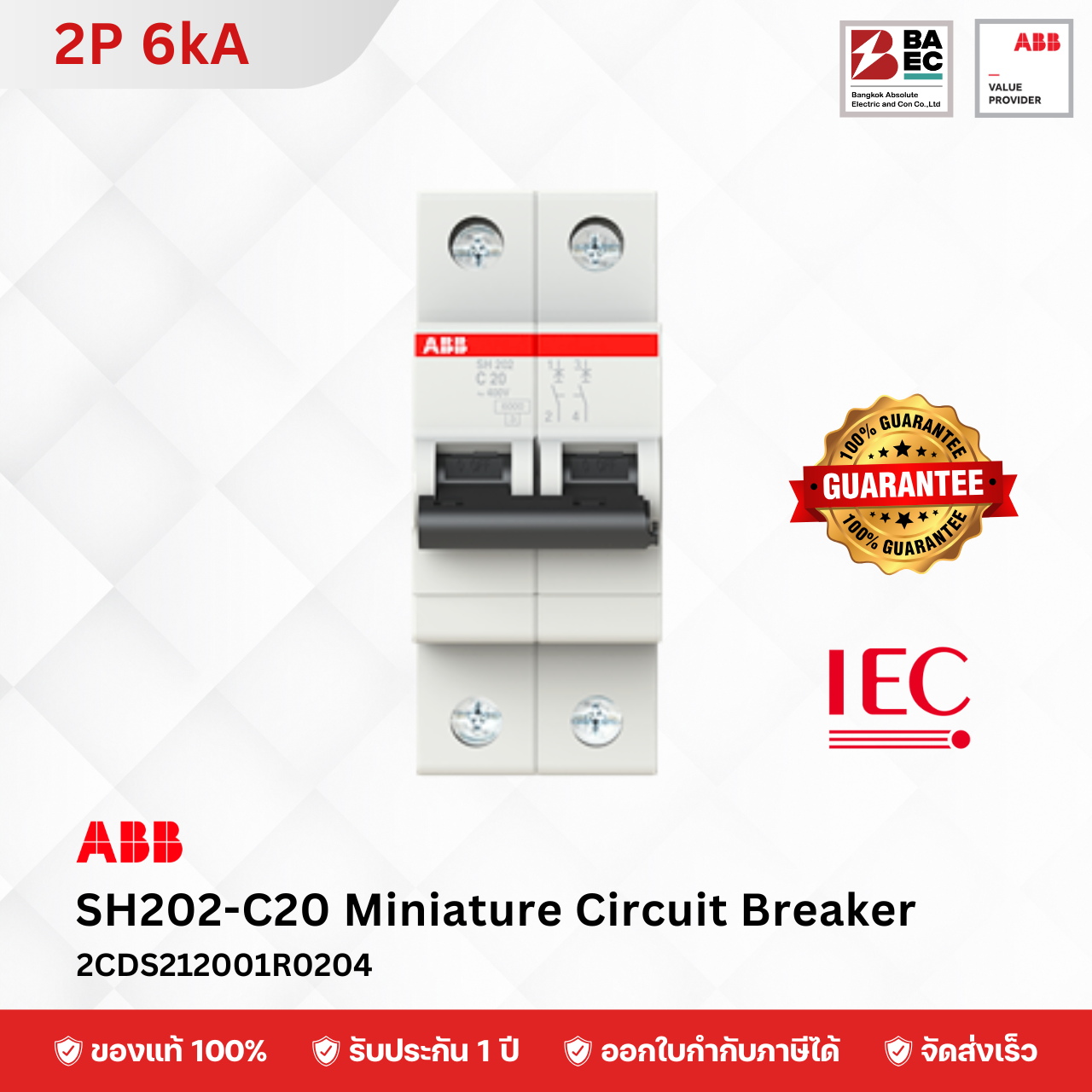 ABB เซอร์กิตเบรกเกอร์ SH202-C6 - C63A 2P 6KA