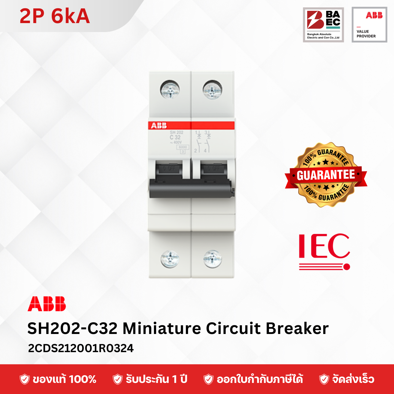 ABB เซอร์กิตเบรกเกอร์ SH202-C6 - C63A 2P 6KA